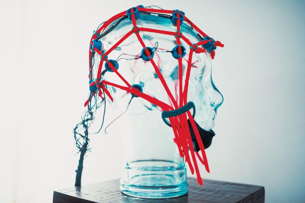 EEG sensor cap on a demonstration head model